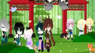Treasure Hunting & Story Preparation [Genshin Impact & Star Rail]