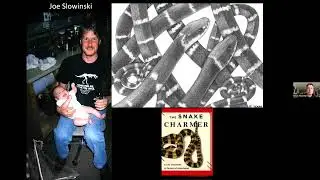Field Biology and Art: Frogs, Snakes, and Psychedelic Bioscapes with Kevin Wiseman