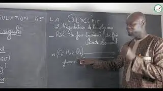 Course - Terminale S - SVT: Regulation of blood sugar / Blood sugar, a regulated variable