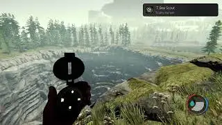 The Forest, the pit. Way down???