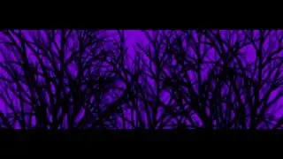 Lady Gaga - Monster (Backdrop) The Monster Ball 2.0 Revamped