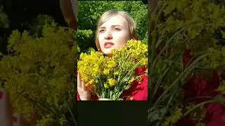 Ты не любил меня! #экстрамузыкантАлина #романс #коснуласьяцветка #extramusicianAlina #extramusician