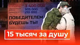 Дроны, Строители и Сетевой маркетинг