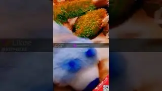 [FREE - HDconvert.com] Голубая Кошечка