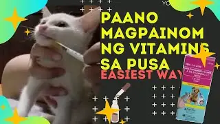 PAANO MAGPAINOM NG VITAMINS SA PUSA : LC-VIT MULTIVITAMINS