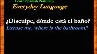 Basic Spanish Phrases | Frases en Español | Learn Spanish | Free Spanish Lessons | Español Gratis