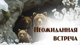 Неожиданная встреча... | детская страничка | Новосибирск