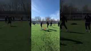 Дуб и Наемник на таблетках 