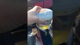 Neglected Beta Fish🥺💔
