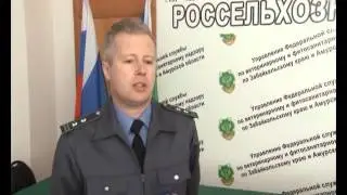 ПРЕПАРАТЫ ПО ВЕТЕРИНАРИИ