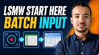 LSMW Batch Input Recording Demo on SAP S/4HANA and ECC: Part 1 