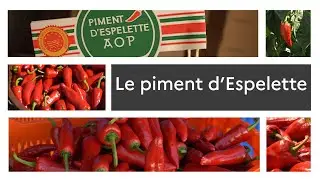 Un produit, un territoire : le piment d'Espelette