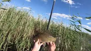Трудовая рыбалка. Ловля карася на небольшом водоёме.