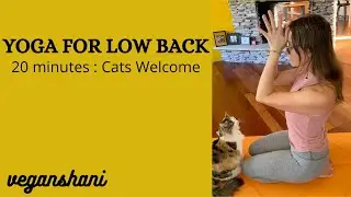 Yoga for Low Back Care: 20 minutes