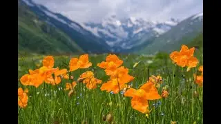 Disco Enigma - Sadness Love Tango.Travel Kavkaz bike melody rock