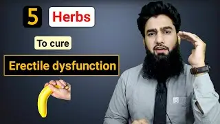 Best Sexologist In Delhi | 5 Herbs To Cure Erectile Dysfunction | Dr. Imran Khan