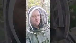 МЁД #new #shorts #пасека #пчеловодство #пчелы #короткиевидео #шортс #развлечение #тренды #интересно