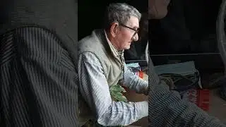 Мій результат по вирощуванню розсади хурми на підвіконні!!!
