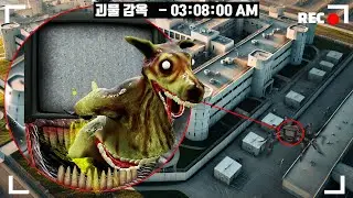 주코시스 캥거루가 티비 괴물 감옥에 갇혔습니다 구해주세요..