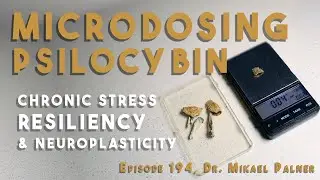 Microdosing Psilocybin; Effects on Stress Resiliency and Compulsive Behaviours | Dr. Mikael Palner