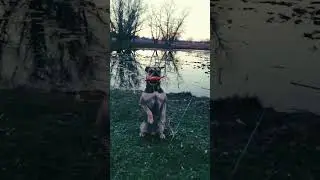 On the hunt