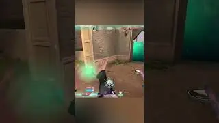Must I Do Everything #sage #ace #valorant #sageplays