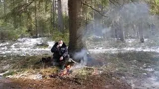 Март природа весна лес тайга музыка релаксация The nature of Russia Какая Россия