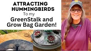 How I'm Attracting Hummingbirds to My GREENSTALK and Growbag Garden and Surprise Seeds in the Mail!