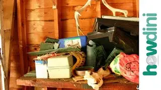 Organization Tips: How to Declutter Your Home