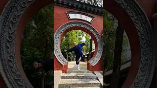 Traditional Shaolin #shifu #shaolin #kungfu #shifukanishka #training #wushu #karate  #shaolintemple
