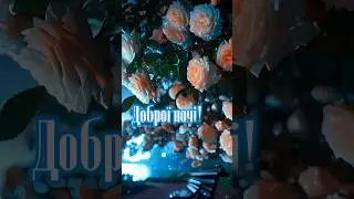 Доброї ночі!✨На Добраніч! Солодких снів!  Красиве побажання