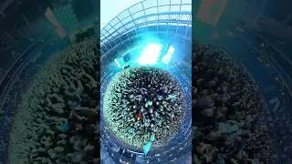 КНЯZZ(КАК В СТАРОЙ СКАЗКЕ)/ВТБ АРЕНА ДИНАМО-г.МОСКВА «7.08.2024» #корольишут #княzz #панкрок #shorts