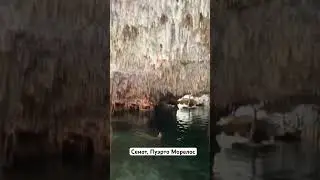 Пуэрто Морелос, сенот. Мексика. #мексика
