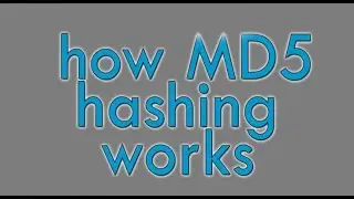 MD5 hashing function!