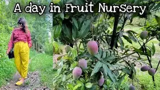 Fruit Nursery Tour | 150 Varieties of Mango in a Tree | A Day Post Lockdown - Dehradun| Plant Lover
