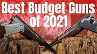 The 2 Best Budget Guns of 2021
