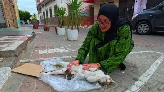 A friendly calico cat nurses her kitten by the street after someone trashed her home.
