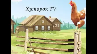 вторая жизнь