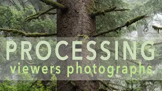 Adding DEPTH to a flat SCENE in PHOTOSHOP