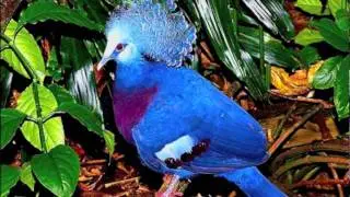 Name That Species!