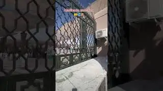 27-февраль 16 кунлик умра сафарига таклиф қиламиз (+996)551-11-11-01 Telegram WhatsApp орқали