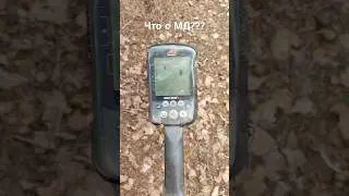 26 марта 2024 г.