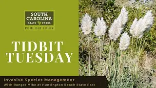 Invasive Species Management with Ranger Mike