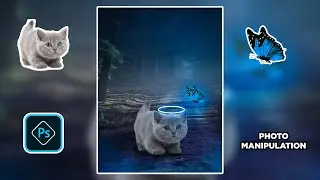 GLOWING CAT | Photo Manipulation