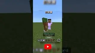 Minecraft Viral Tiktok Build Hack #shorts #viral