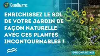 👉 Enrichissez le sol de votre jardin de façon naturelle avec ces plantes incontournables !