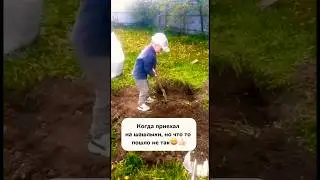 Когда, приехал на шашлыки, но что то пошло не так😃#shorts#огород#сажаемвместе#подпишись
