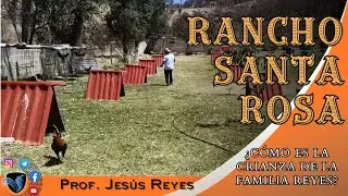 Rancho Santa Rosa | La forma de criar y las líneas que se manejan.