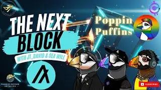 The Next Block | Ep 009 | Special Guest: Poppin Puffins