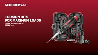 Maximum flexibility for every screwdriving task | Torsion bit set, 43 pieces R33003043